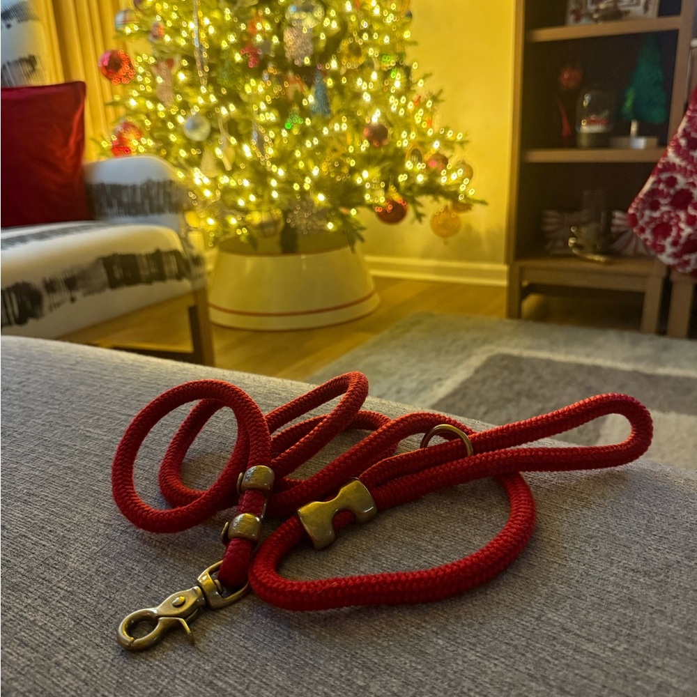 The Foggy Dog Ruby Red Leash with Gold Hardware